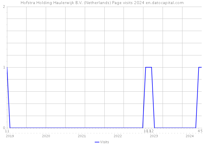 Hofstra Holding Haulerwijk B.V. (Netherlands) Page visits 2024 