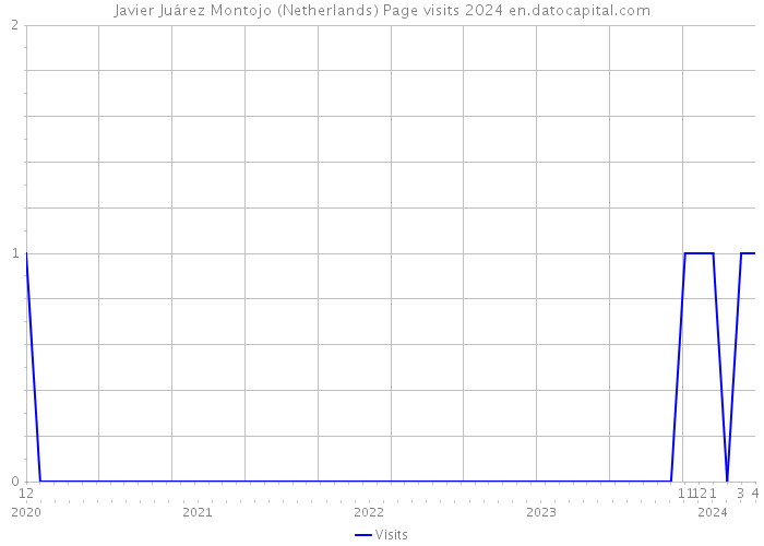 Javier Juárez Montojo (Netherlands) Page visits 2024 