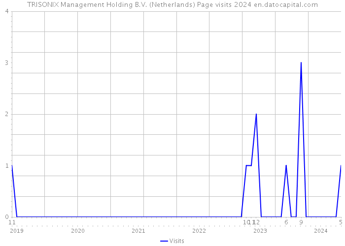TRISONIX Management Holding B.V. (Netherlands) Page visits 2024 