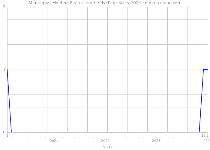 Montagnes Holding B.V. (Netherlands) Page visits 2024 