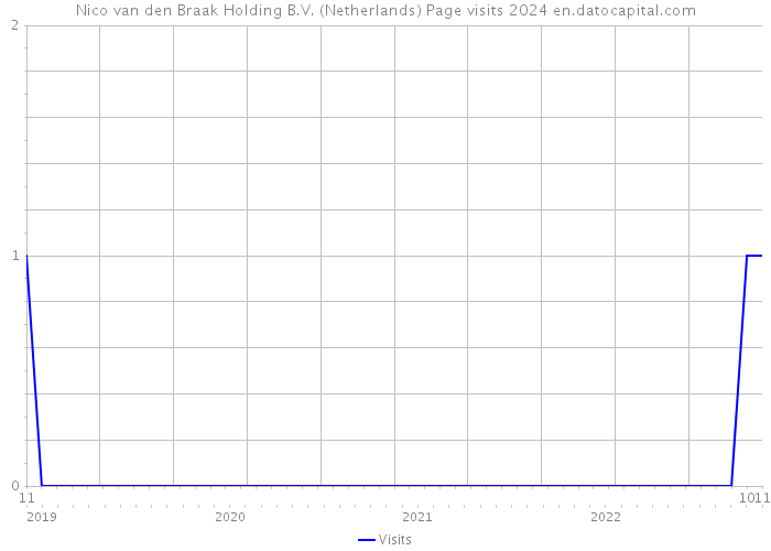 Nico van den Braak Holding B.V. (Netherlands) Page visits 2024 