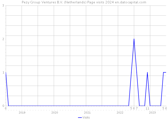 Pezy Group Ventures B.V. (Netherlands) Page visits 2024 