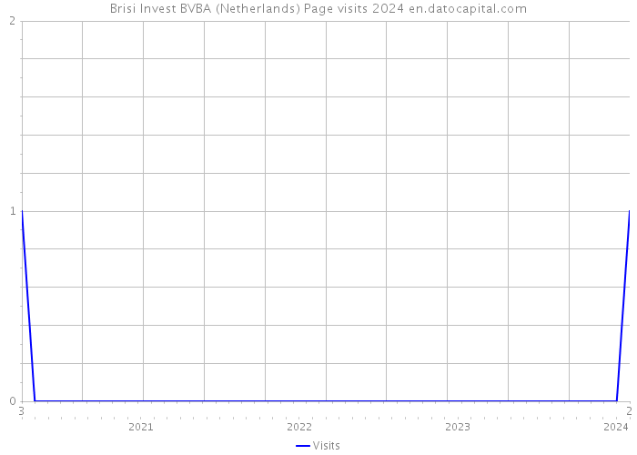 Brisi Invest BVBA (Netherlands) Page visits 2024 