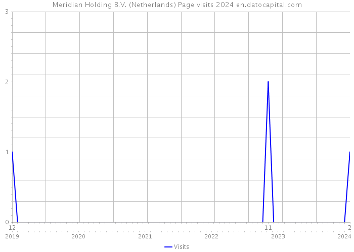 Meridian Holding B.V. (Netherlands) Page visits 2024 