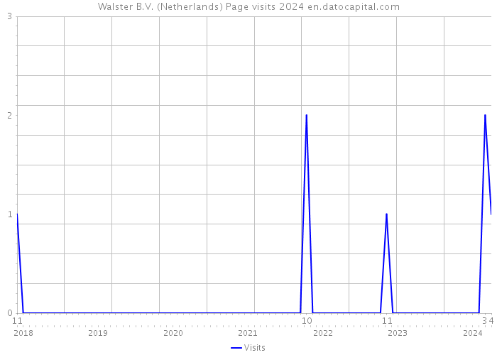 Walster B.V. (Netherlands) Page visits 2024 
