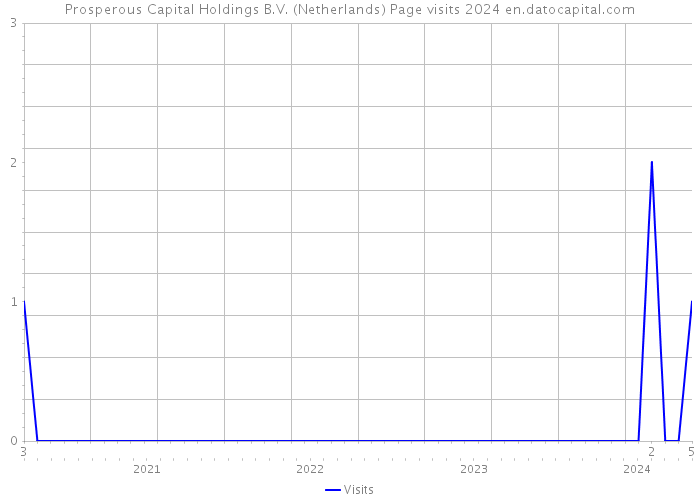 Prosperous Capital Holdings B.V. (Netherlands) Page visits 2024 