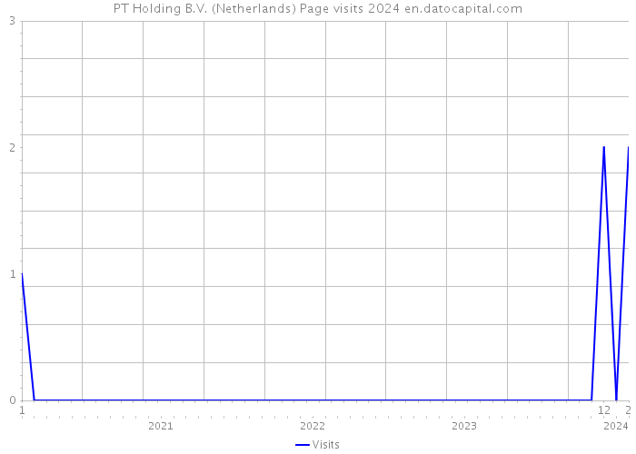 PT Holding B.V. (Netherlands) Page visits 2024 