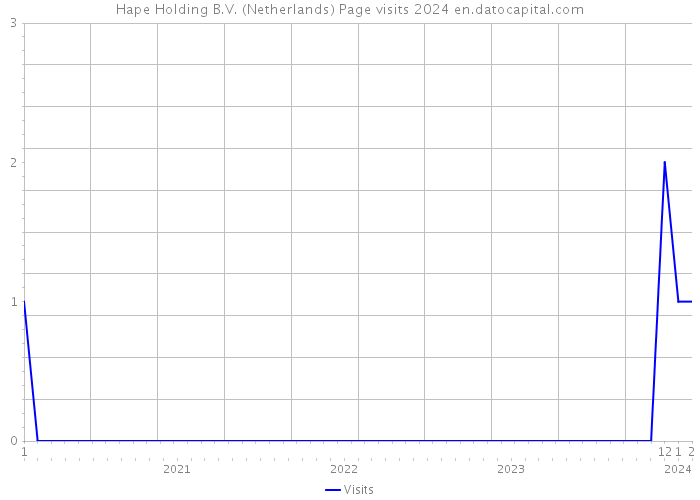 Hape Holding B.V. (Netherlands) Page visits 2024 