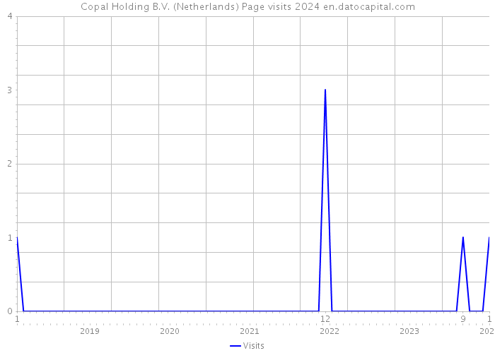 Copal Holding B.V. (Netherlands) Page visits 2024 