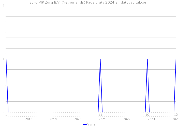 Buro VIP Zorg B.V. (Netherlands) Page visits 2024 