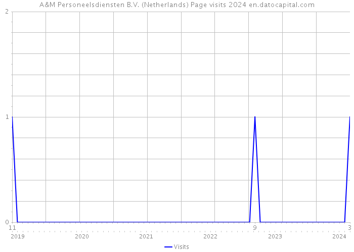 A&M Personeelsdiensten B.V. (Netherlands) Page visits 2024 