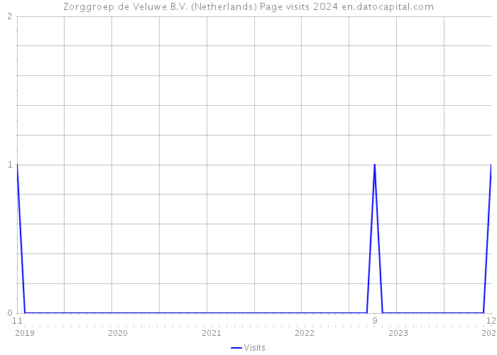 Zorggroep de Veluwe B.V. (Netherlands) Page visits 2024 