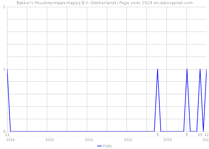 Bakker's Houdstermaatschappij B.V. (Netherlands) Page visits 2024 