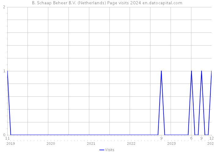 B. Schaap Beheer B.V. (Netherlands) Page visits 2024 