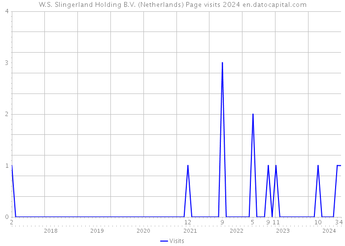 W.S. Slingerland Holding B.V. (Netherlands) Page visits 2024 