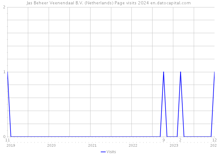Jas Beheer Veenendaal B.V. (Netherlands) Page visits 2024 