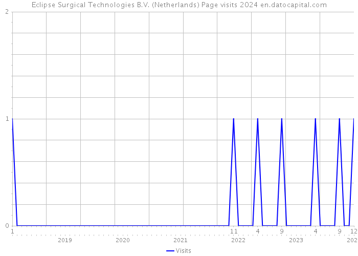 Eclipse Surgical Technologies B.V. (Netherlands) Page visits 2024 
