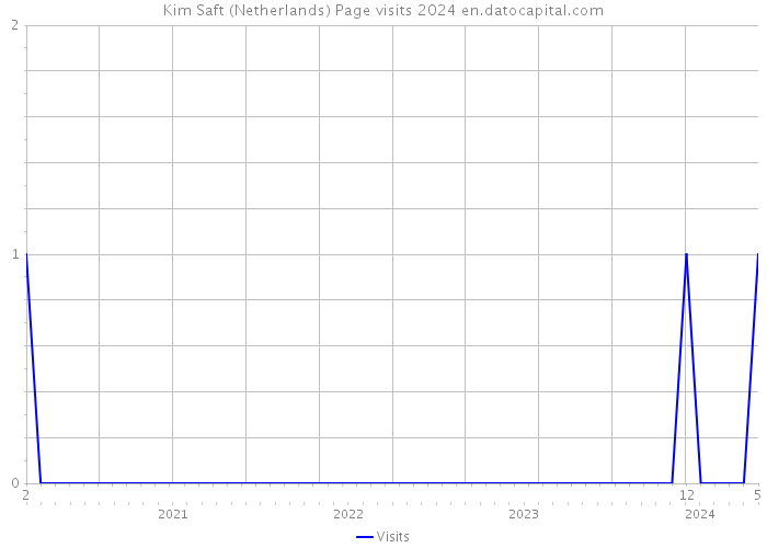 Kim Saft (Netherlands) Page visits 2024 