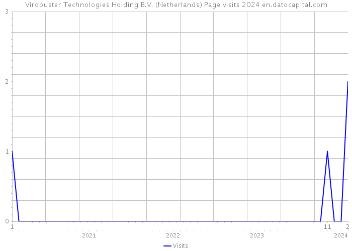 Virobuster Technologies Holding B.V. (Netherlands) Page visits 2024 