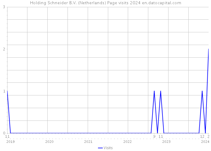 Holding Schneider B.V. (Netherlands) Page visits 2024 