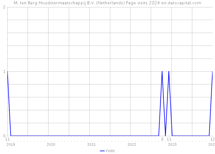 M. ten Berg Houdstermaatschappij B.V. (Netherlands) Page visits 2024 