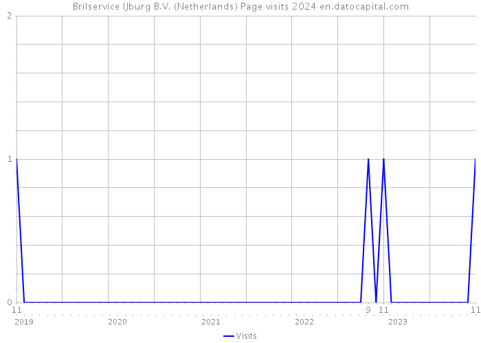 Brilservice IJburg B.V. (Netherlands) Page visits 2024 