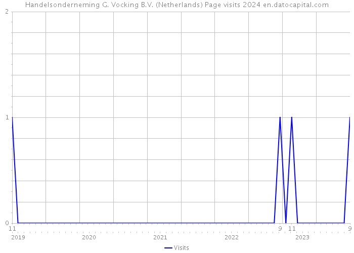 Handelsonderneming G. Vocking B.V. (Netherlands) Page visits 2024 