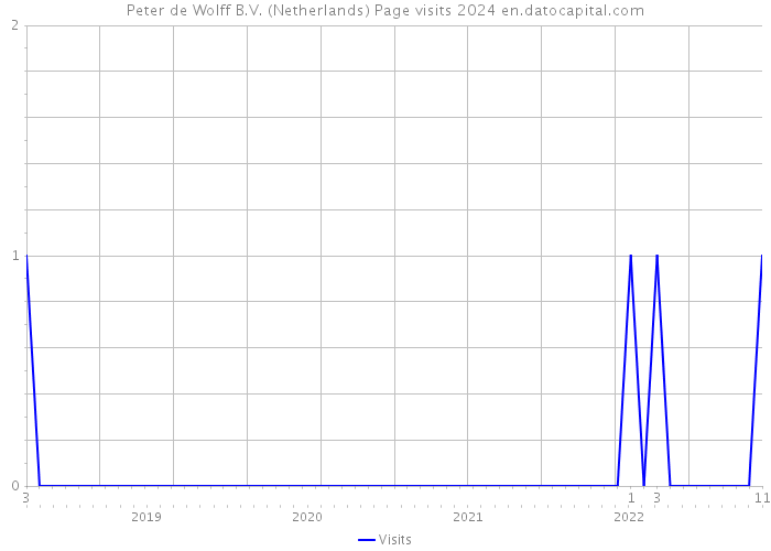 Peter de Wolff B.V. (Netherlands) Page visits 2024 