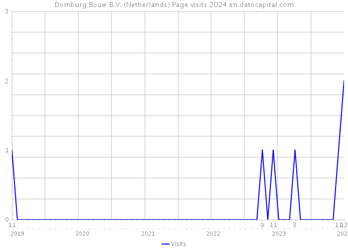 Domburg Bouw B.V. (Netherlands) Page visits 2024 