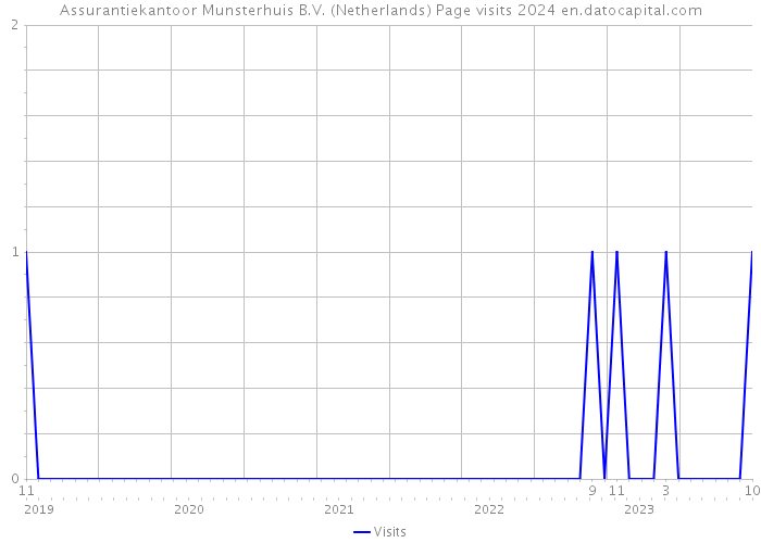 Assurantiekantoor Munsterhuis B.V. (Netherlands) Page visits 2024 