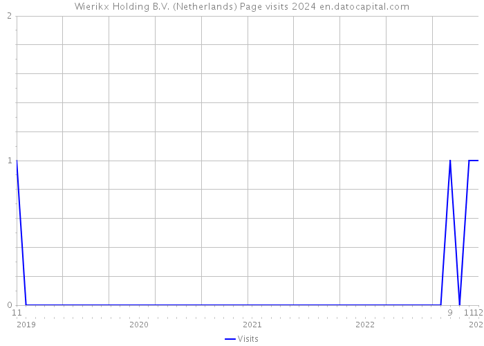 Wierikx Holding B.V. (Netherlands) Page visits 2024 