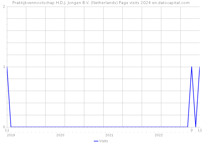 Praktijkvennootschap H.D.J. Jongen B.V. (Netherlands) Page visits 2024 