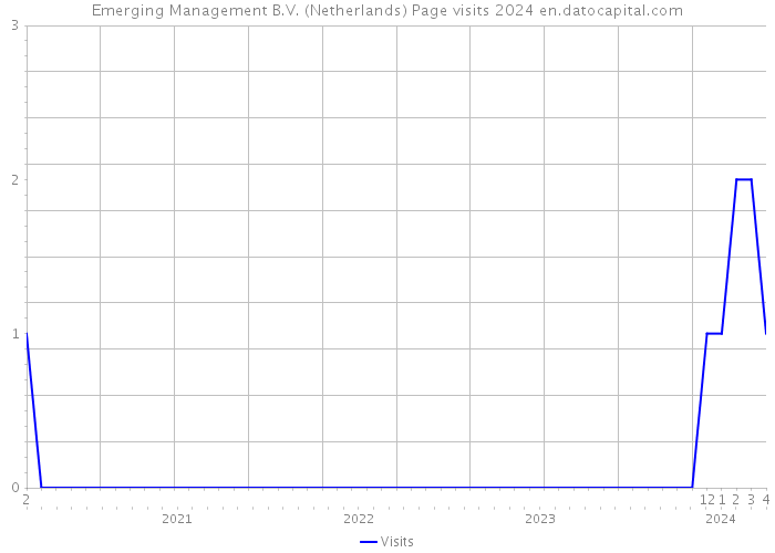 Emerging Management B.V. (Netherlands) Page visits 2024 