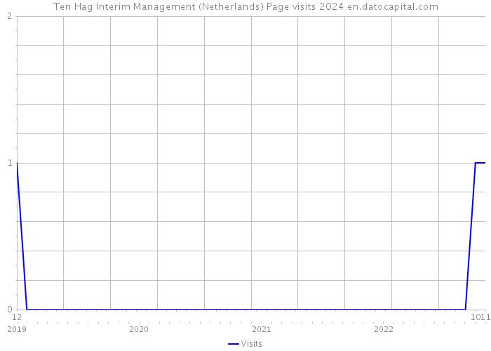 Ten Hag Interim Management (Netherlands) Page visits 2024 