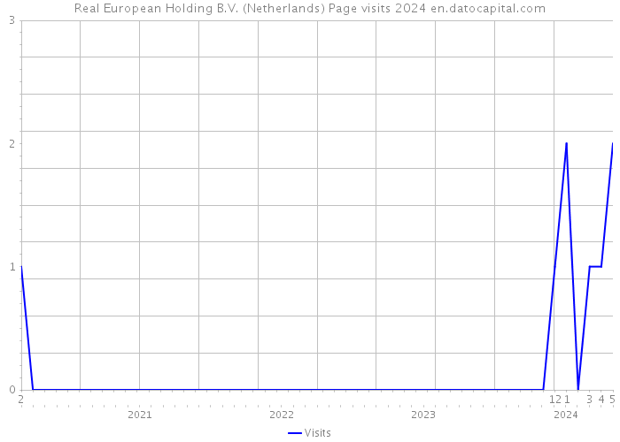 Real European Holding B.V. (Netherlands) Page visits 2024 