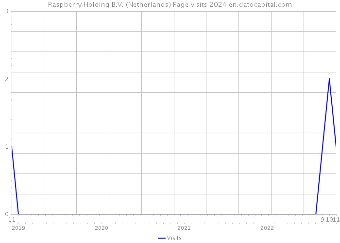 Raspberry Holding B.V. (Netherlands) Page visits 2024 