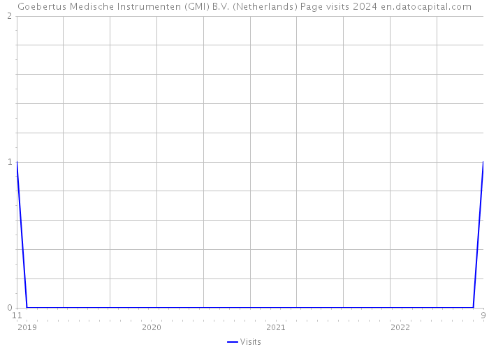 Goebertus Medische Instrumenten (GMI) B.V. (Netherlands) Page visits 2024 