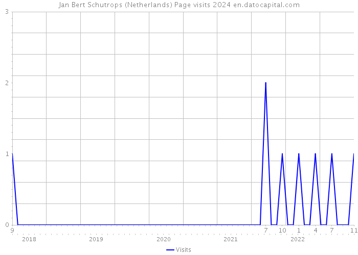 Jan Bert Schutrops (Netherlands) Page visits 2024 