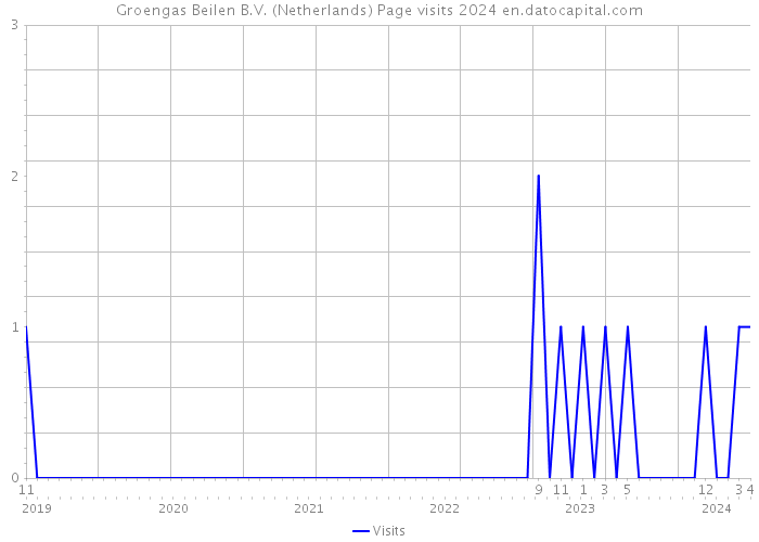 Groengas Beilen B.V. (Netherlands) Page visits 2024 