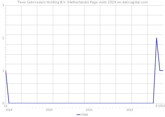 Twee Gebroeders Holding B.V. (Netherlands) Page visits 2024 