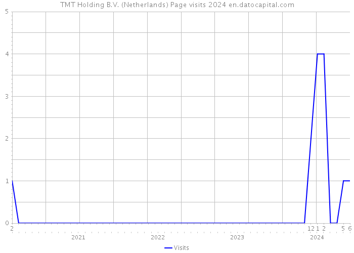 TMT Holding B.V. (Netherlands) Page visits 2024 