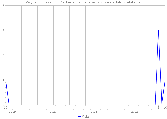 Wayna Empresa B.V. (Netherlands) Page visits 2024 