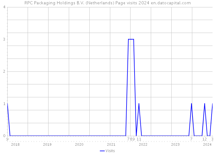 RPC Packaging Holdings B.V. (Netherlands) Page visits 2024 