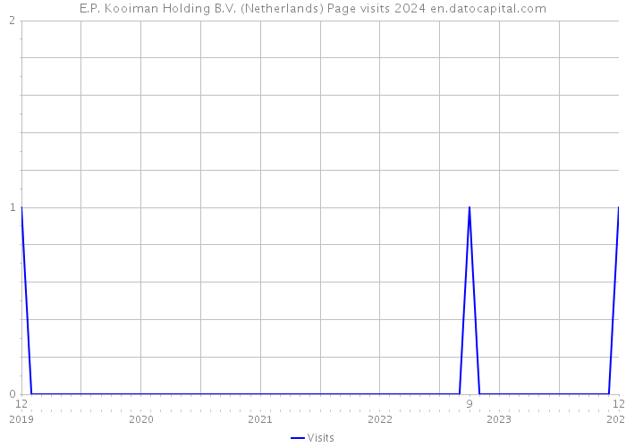 E.P. Kooiman Holding B.V. (Netherlands) Page visits 2024 