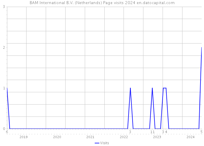 BAM International B.V. (Netherlands) Page visits 2024 