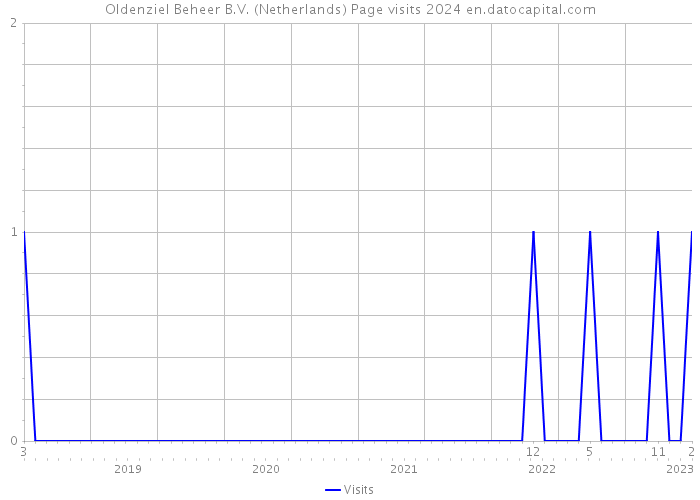 Oldenziel Beheer B.V. (Netherlands) Page visits 2024 