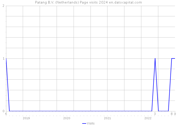 Patang B.V. (Netherlands) Page visits 2024 