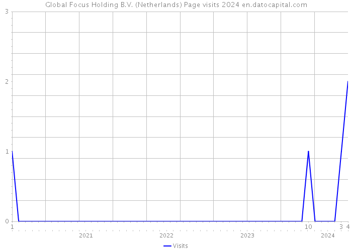 Global Focus Holding B.V. (Netherlands) Page visits 2024 