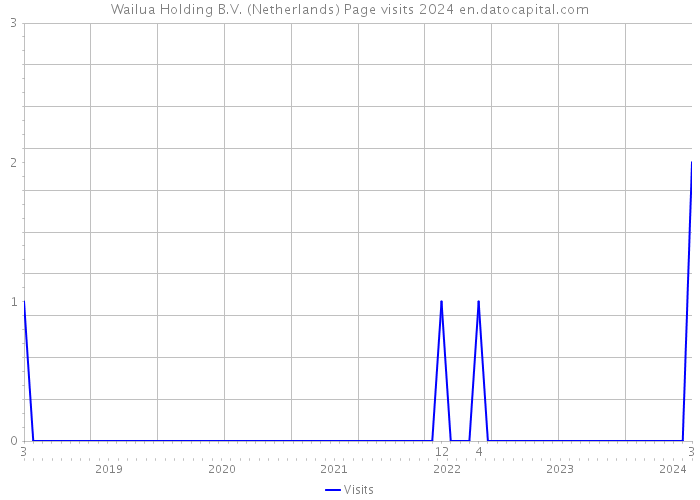 Wailua Holding B.V. (Netherlands) Page visits 2024 