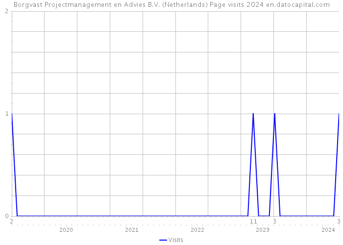 Borgvast Projectmanagement en Advies B.V. (Netherlands) Page visits 2024 